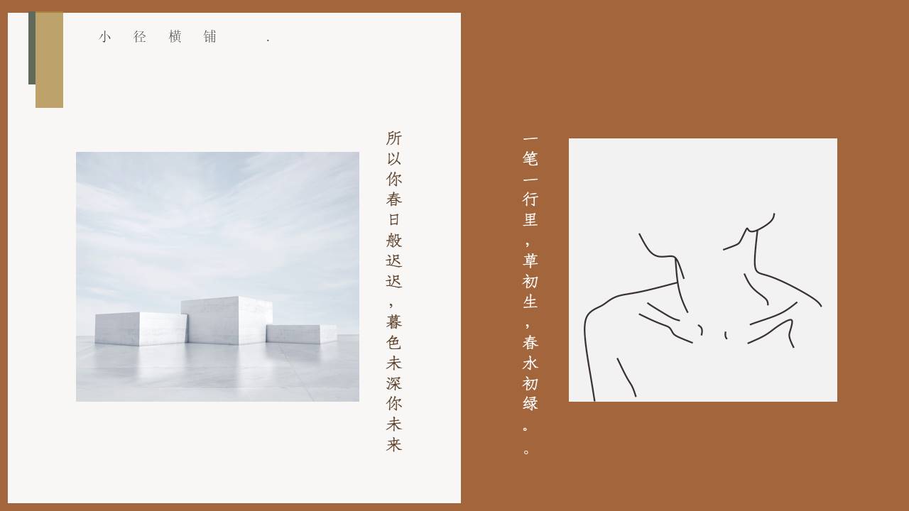莫兰迪 (1).pptx